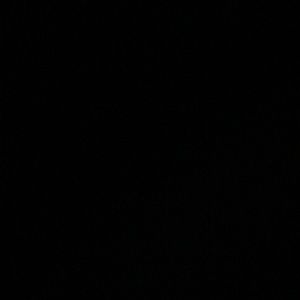 Meet your Posher, Moriah